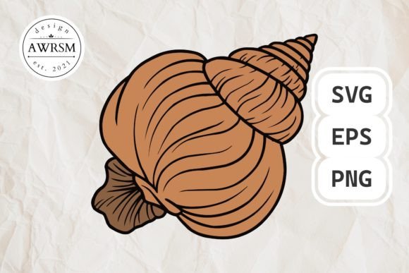 Download Clamshell SVG Vector, Seashell Clipart - Shell Collection