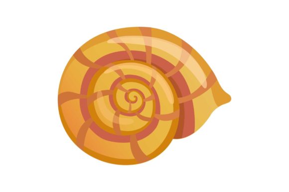 Download Mollusk Shell Icon, Cartoon Style - Shell Collection