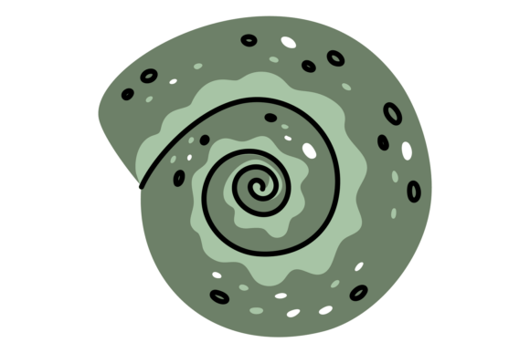 Download Green Tropical Spiral Seashell. Mollusk - Shell Collection