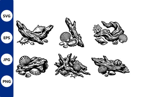 Download Driftwood Seashell Line Art - Shell Collection