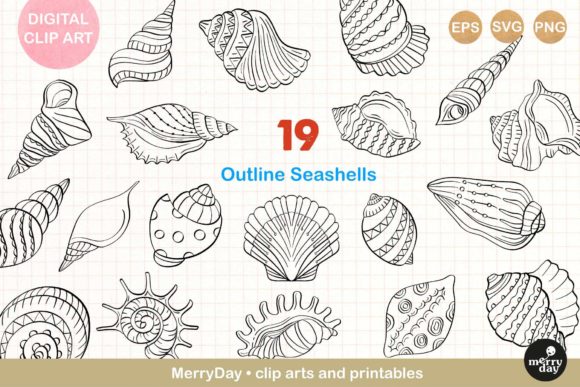 Download 19 Seashell Line Art Drawings. - Shell Collection