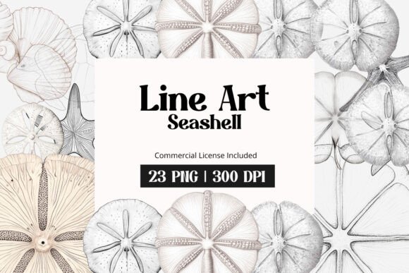 Download Line Art Seashell Clipart - Shell Collection
