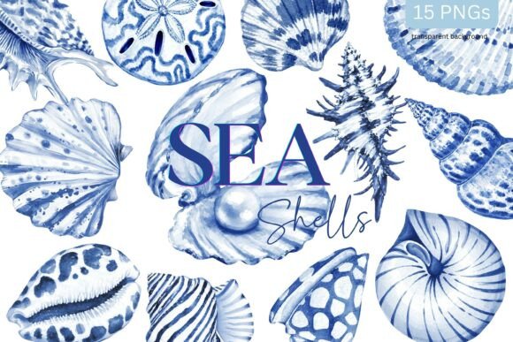 Download Sea Shells Toile Blue Watercolor Coastal - Shell Collection
