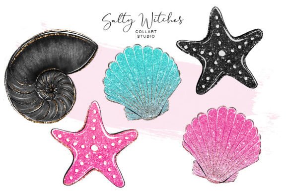 Download Hand Drawn Shells, Sea Star, Glitter - Shell Collection