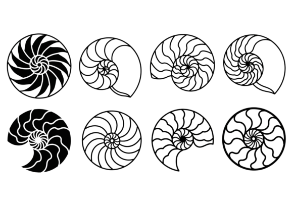 Download Nautilus Shell SVG Clipart Bundle - Premium Resources
