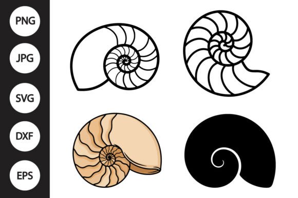 Download Nautilus Shell SVG - Premium Resources