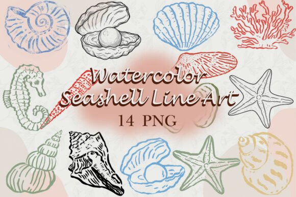 Download Watercolor Seashell Line Art PNG - Shell Collection