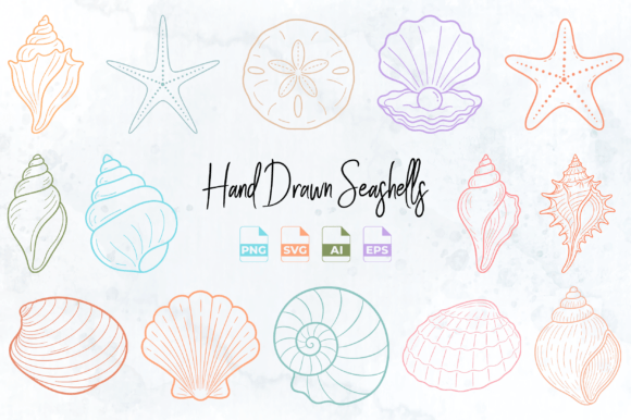 Download Hand Drawn Seashell Clipart PNG SVG - Shell Collection