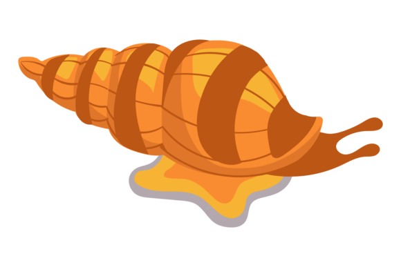 Download Snail Cartoon Icon. Spiral Mollusk Shell - Shell Collection
