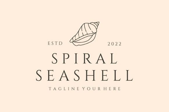 Download Spiral Seashell Line Art Logo Vector - Shell Collection