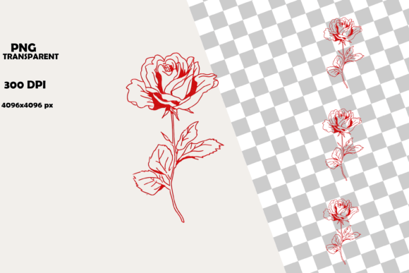Download Elegant Red Rose Valentine Line Art - Valentine line art Collection