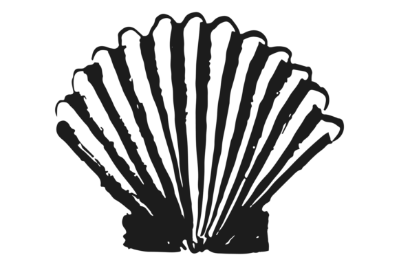 Download Cockle Shell. Sea Animal in Hand Drawn S - Shell Collection